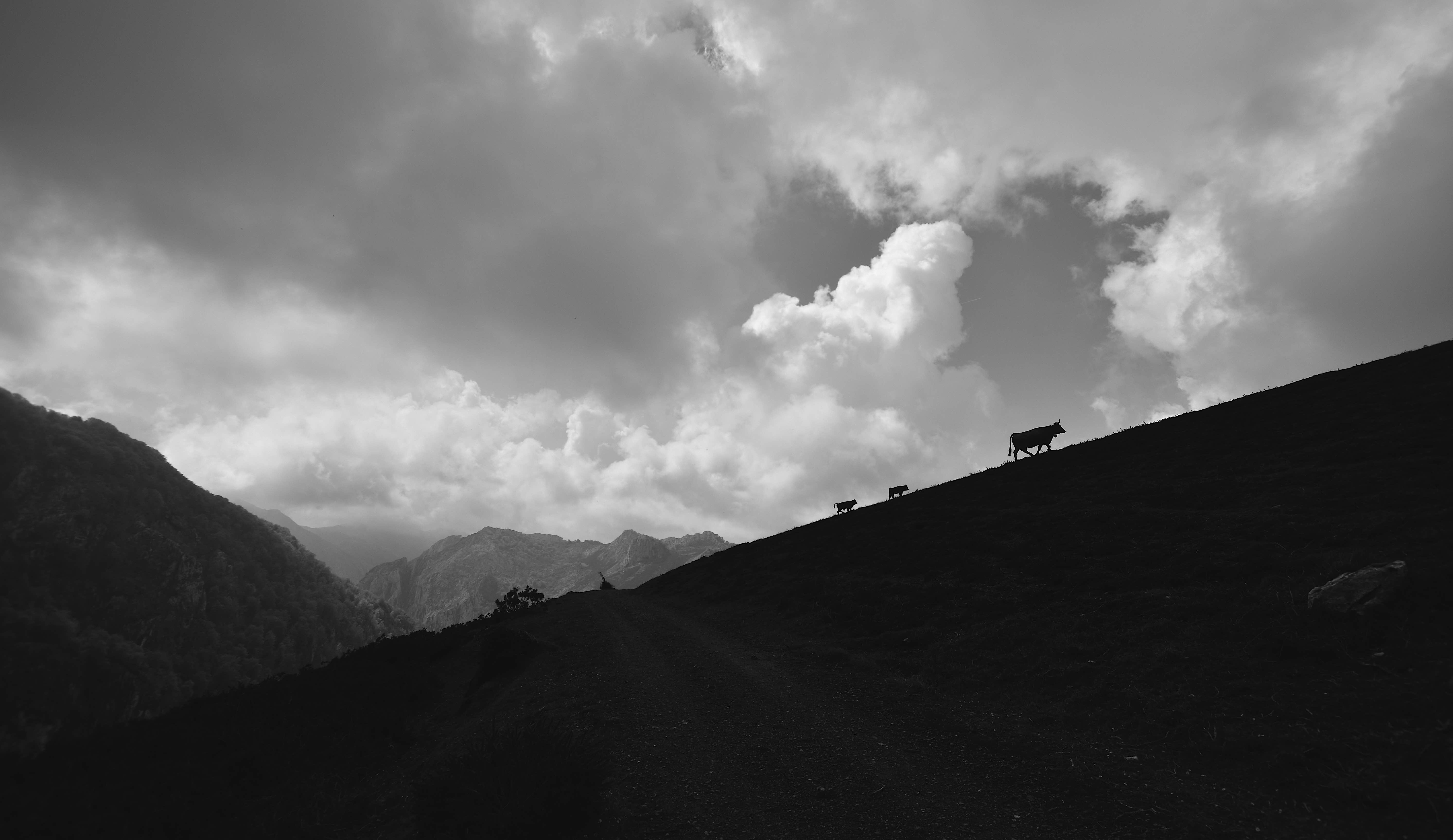 Asturias B/W