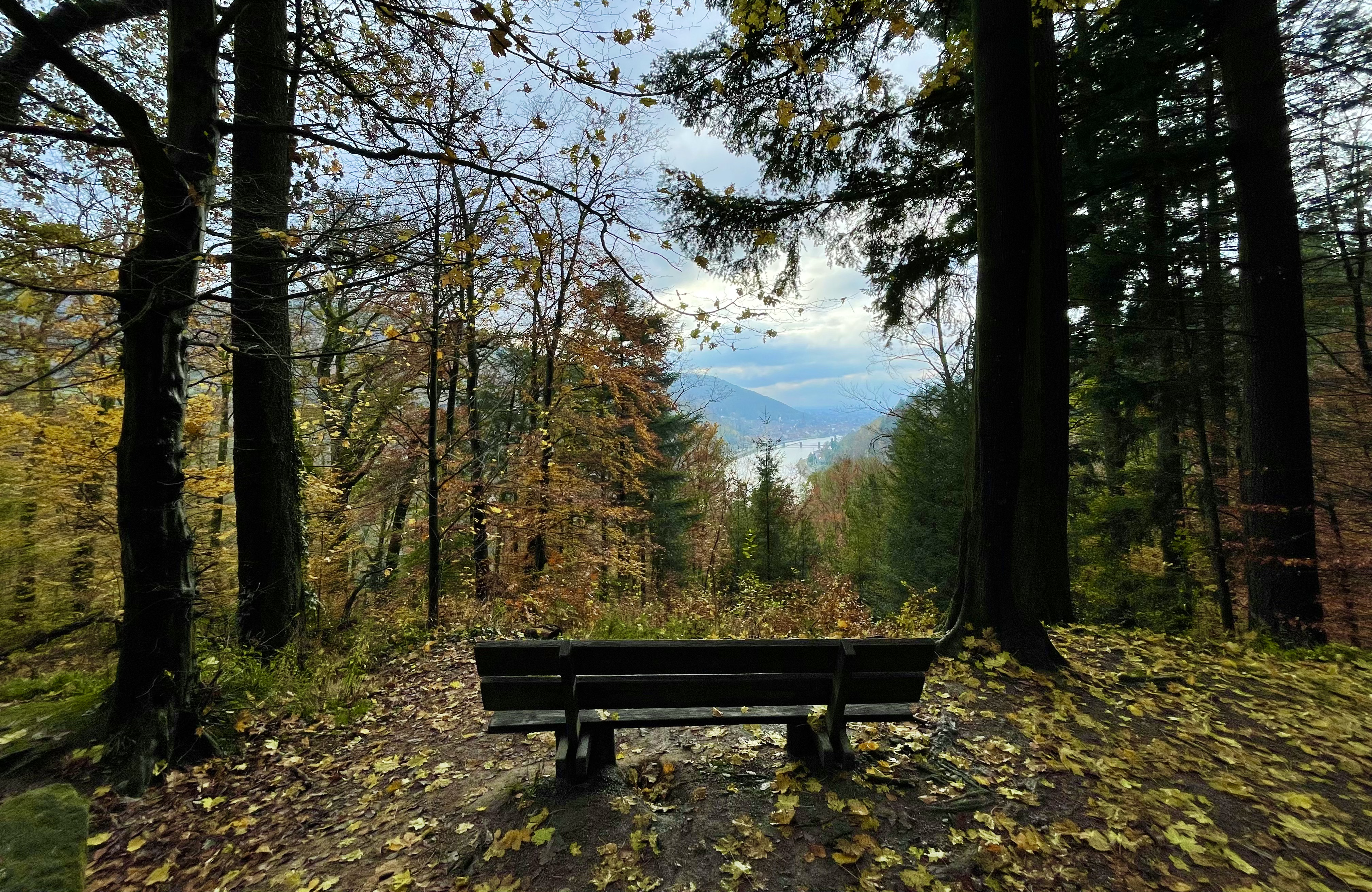 Heidelberg