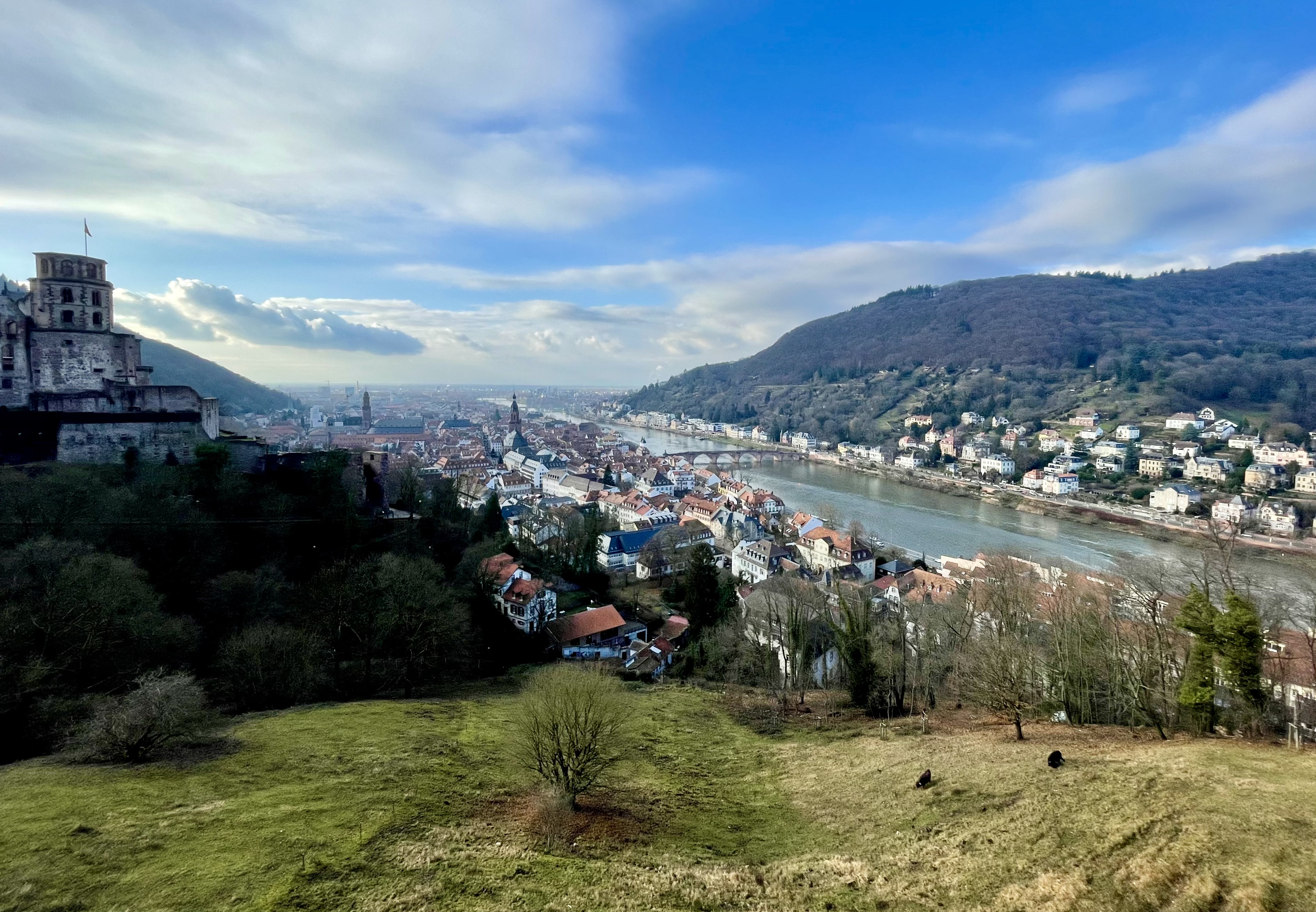 Heidelberg